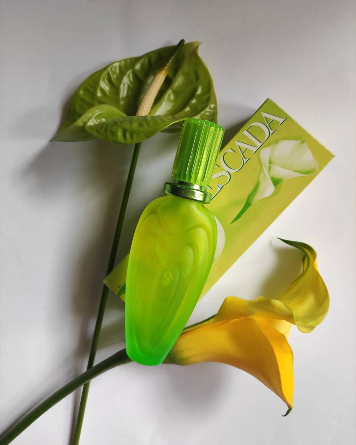 Lily Chic Escada perfume a fragrance for women 2000