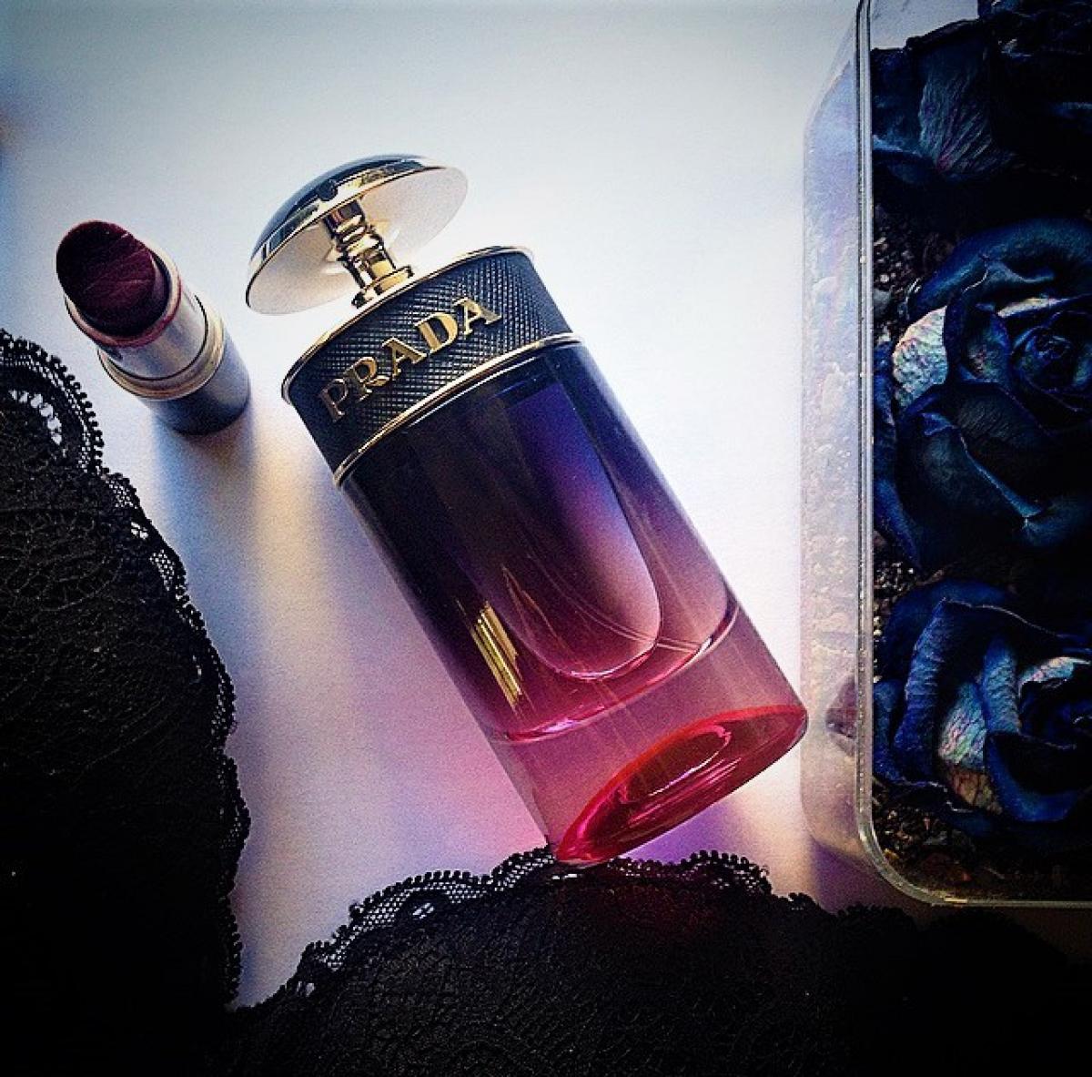 Prada Candy Night Prada perfume - a new fragrance for women 2019