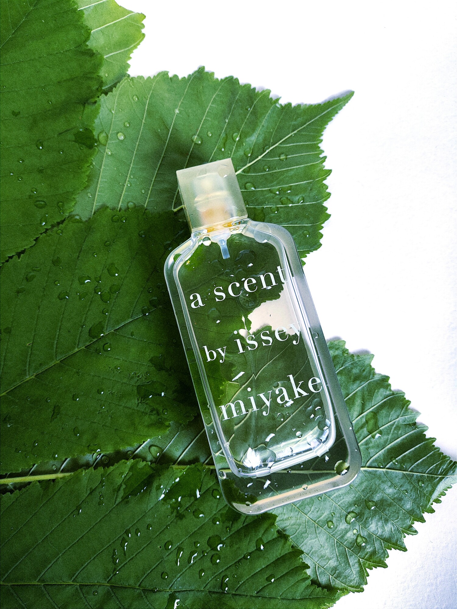 issey miyake perfume a scent