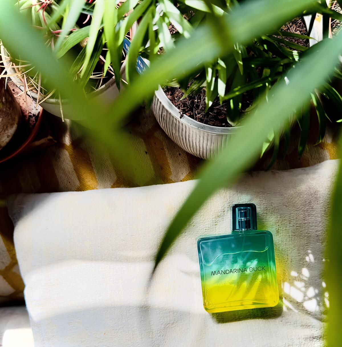 Vida Loca For Him Mandarina Duck cologne - a new fragrance for men 2023