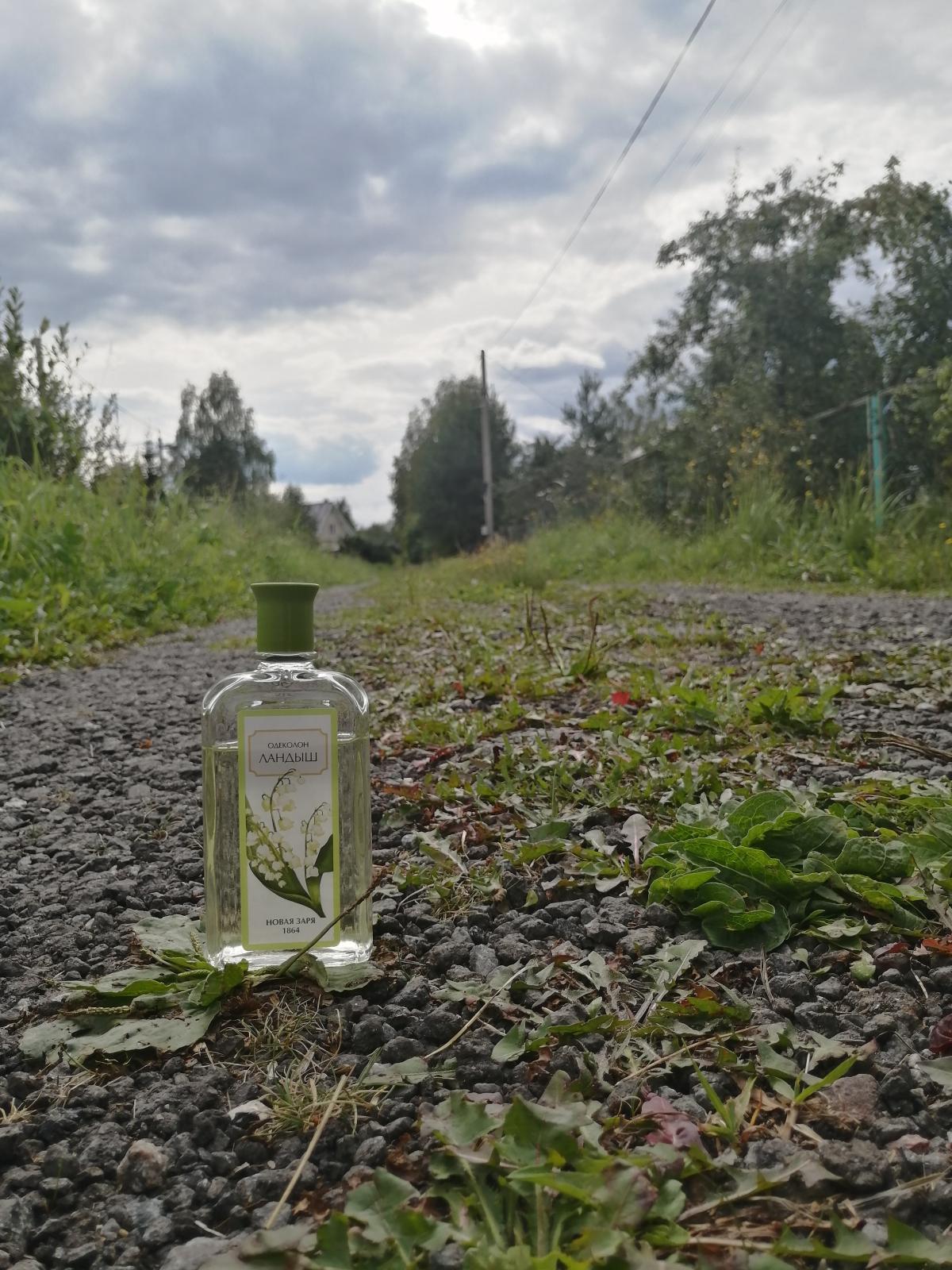 Ландыш (Muguet) Новая Заря (The New Dawn) perfume - a fragrance for women