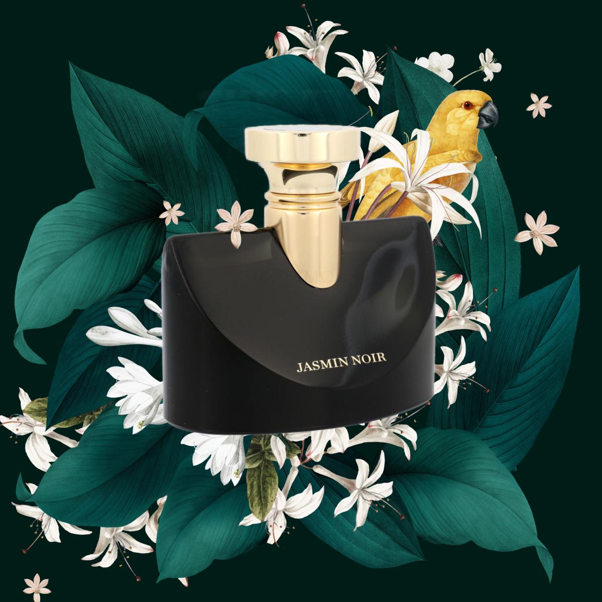Splendida Jasmin Noir Bvlgari perfume - a fragrance for women 2017