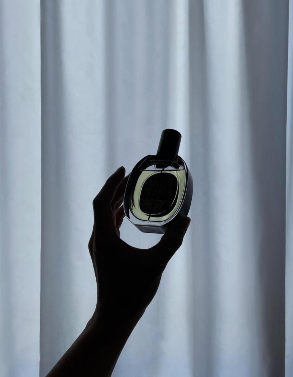 L’Ombre Dans L’Eau Eau de Parfum Diptyque parfum - un parfum pour homme ...
