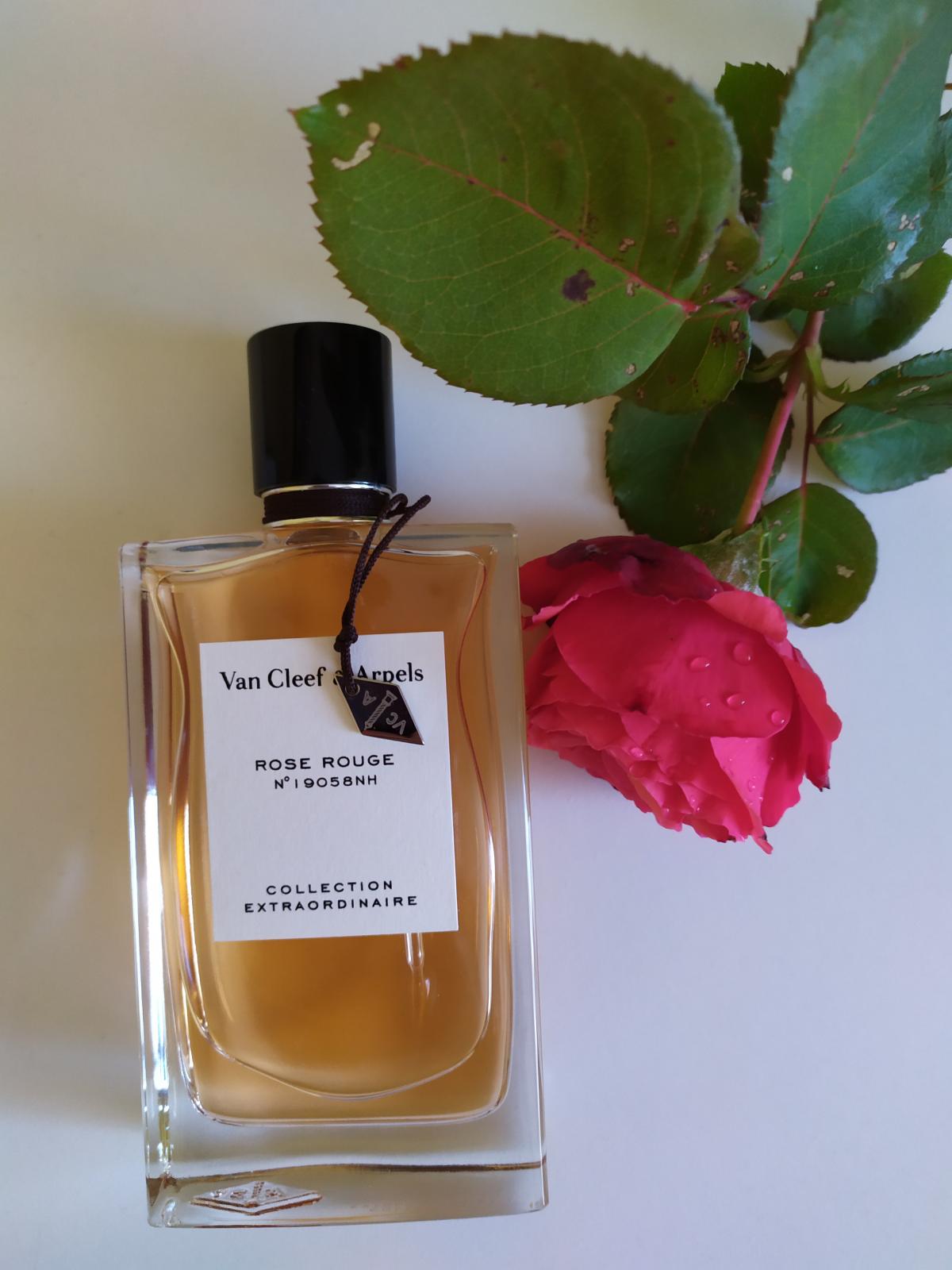 Rose Rouge Van Cleef & Arpels perfume - a fragrance for women and men 2018