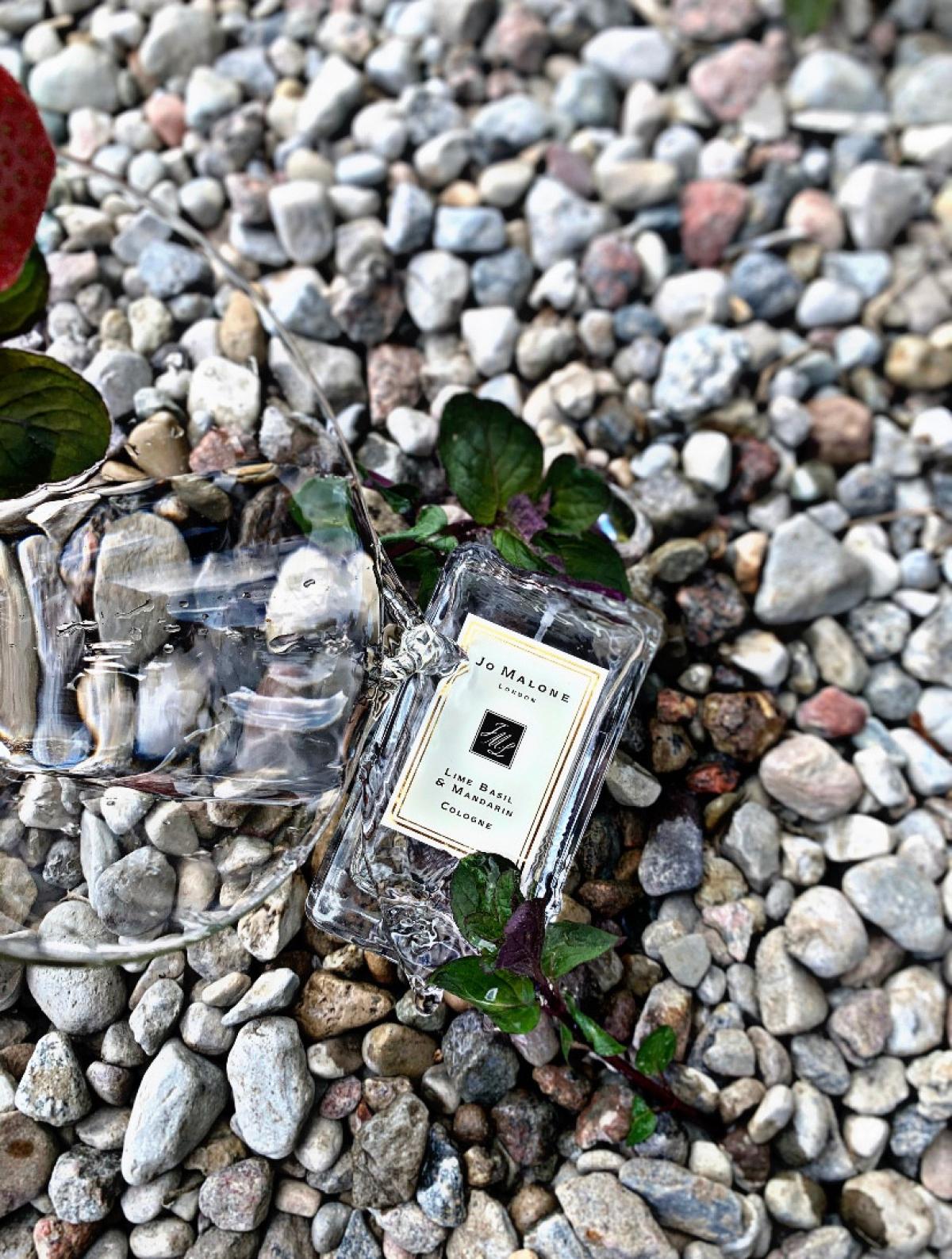 Lime Basil & Mandarin Jo Malone London - una fragranza unisex 1999