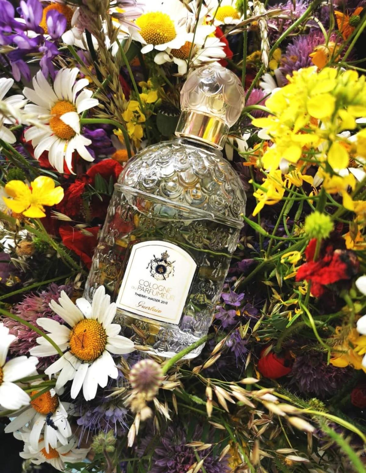 guerlain cologne du parfumeur