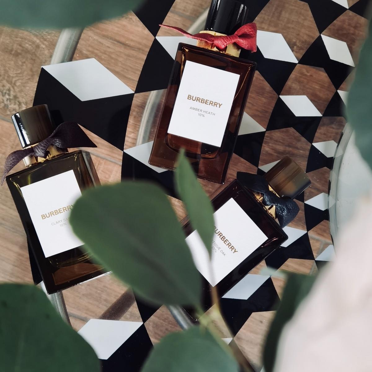 burberry amber heath perfume