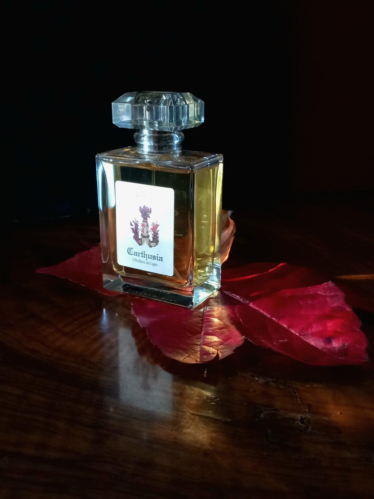 Ligea (Ligea la Sirena) Carthusia perfume - a fragrance for women and ...