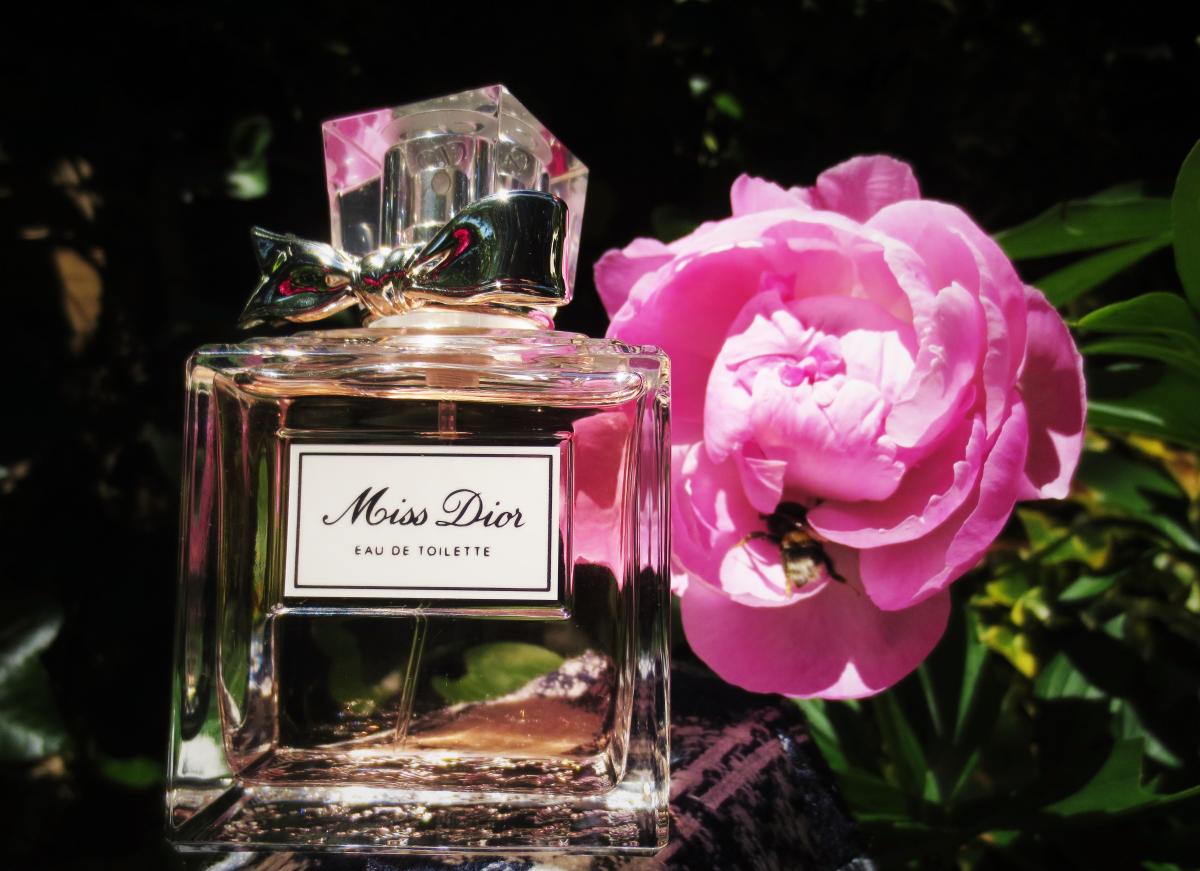 Miss Dior Eau de Toilette 2019 Christian Dior Parfum - ein neues Parfum ...