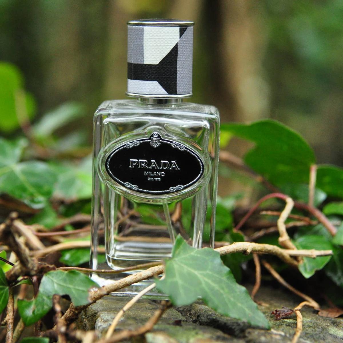 Infusion de Vetiver Prada cologne - a fragrance for men 2010