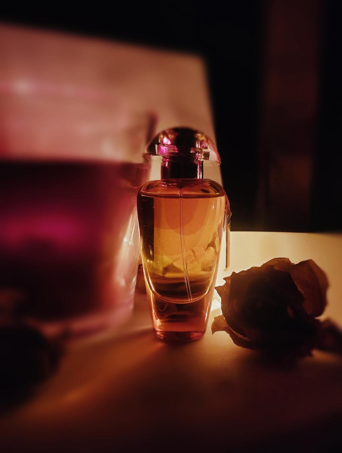 Andalusian Soul The Merchant of Venice perfume - a fragrance for women ...