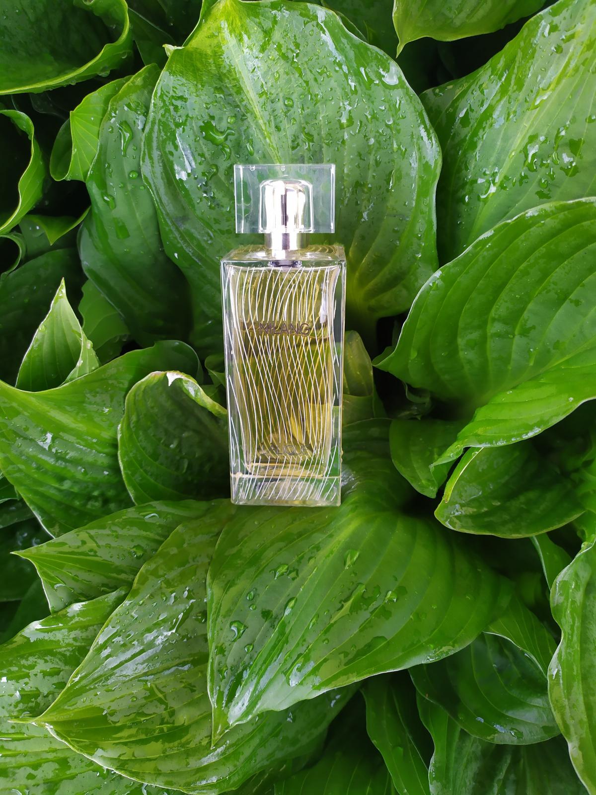 Nilang 2011 Lalique perfume - a fragrance for women 2011