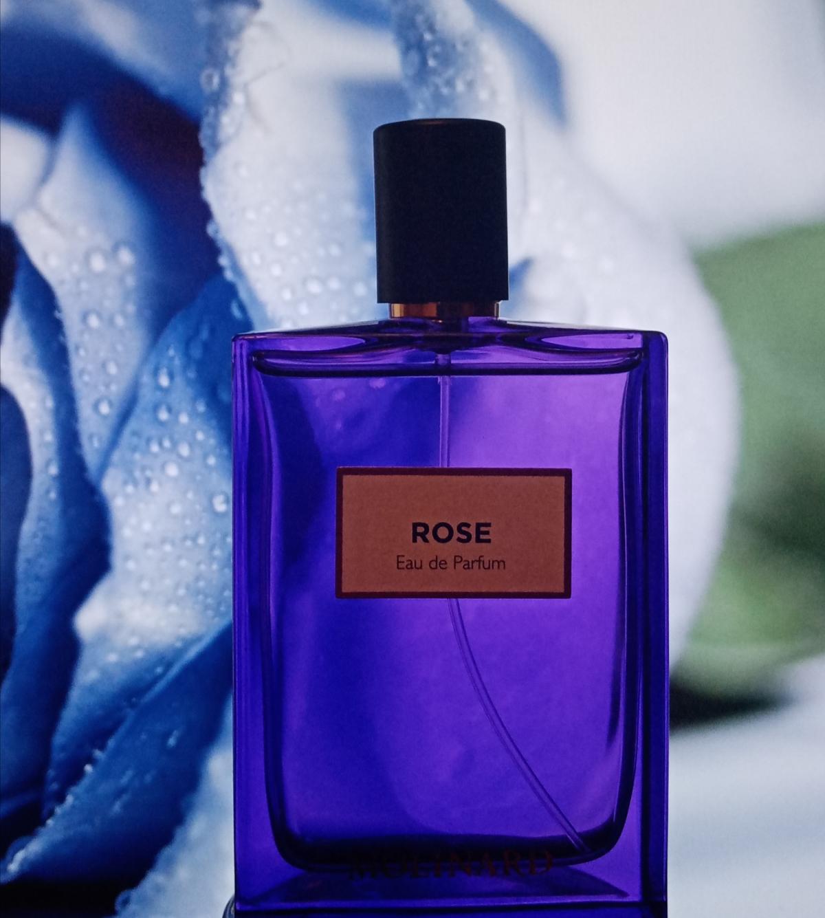 Rose Eau de Parfum Molinard perfume a fragrance for women and men 2015