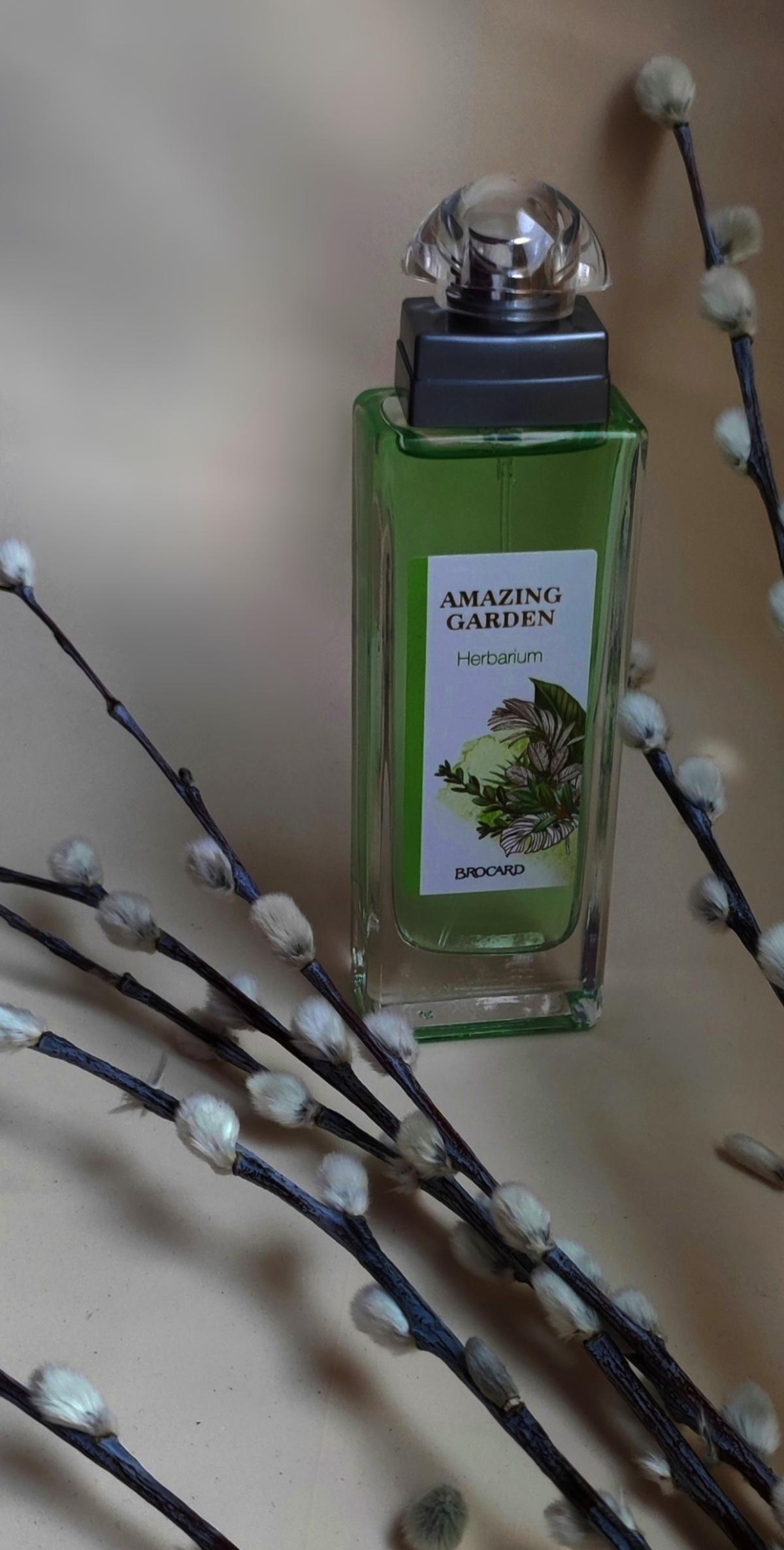 Herbarium Brocard perfume - a new fragrance for women and men 2022