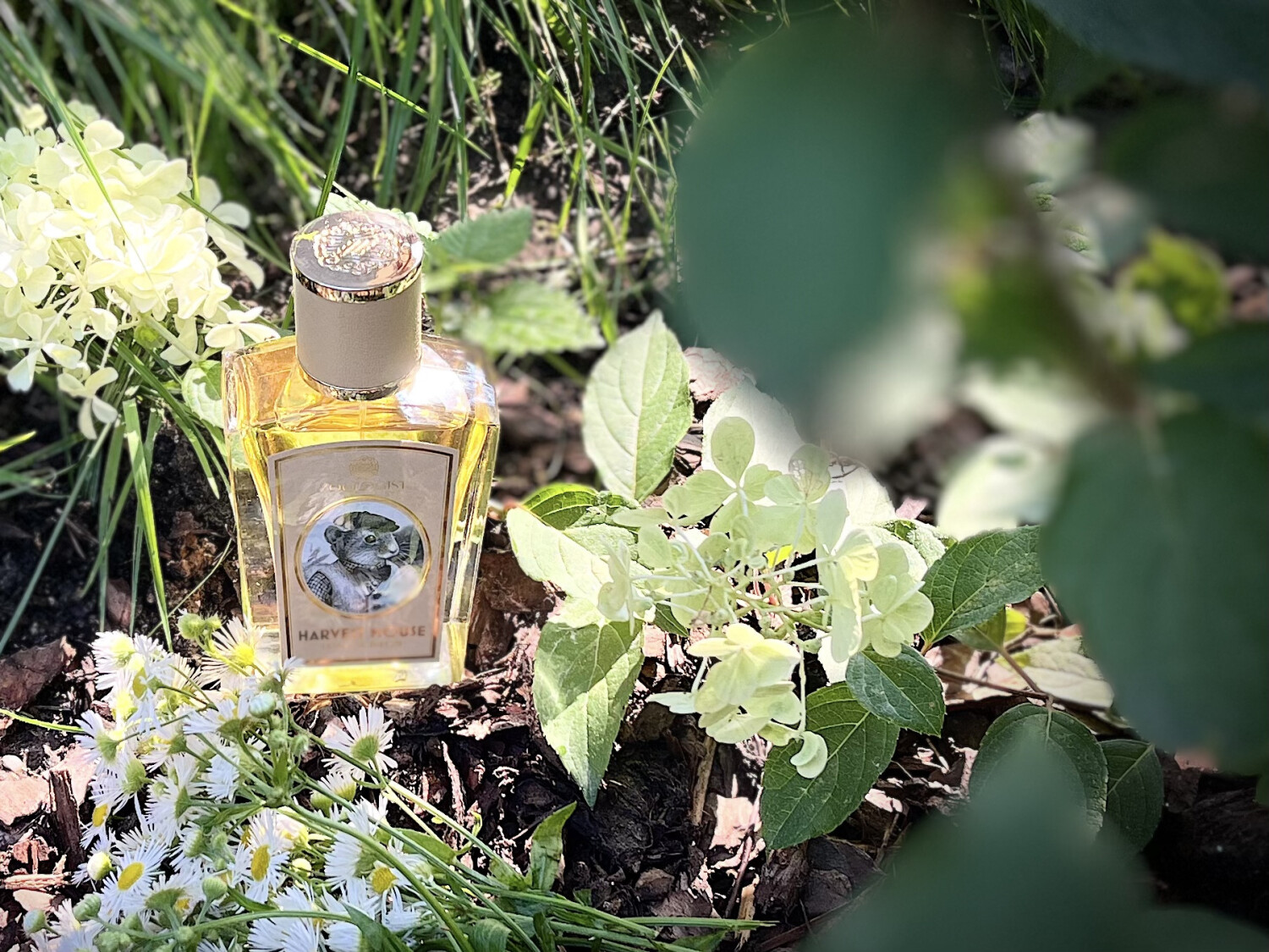 Harvest Mouse Zoologist Perfumes parfum - un parfum pour homme et femme