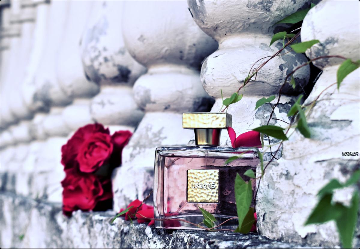 Urban Edition Women Prime Collection perfume a fragrance for women