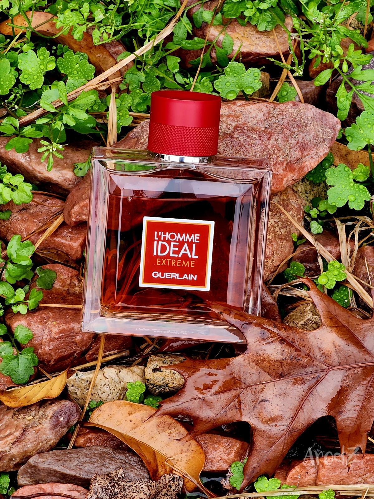 ARR22 ~ Guerlain Lhomme Ideal Extreme! Phenomenal scent! Happy