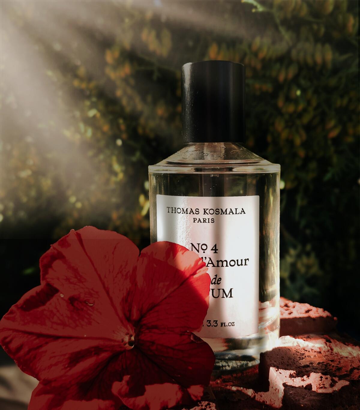 Après l’Amour Thomas Kosmala perfume - a fragrance for women and men 2018