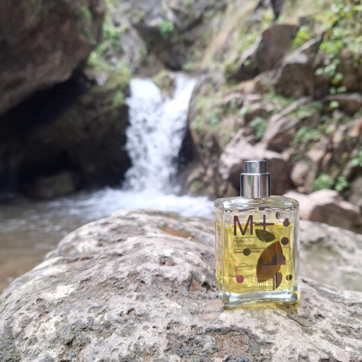 Molecule 01 + Mandarin Escentric Molecules perfume - a fragrance for ...
