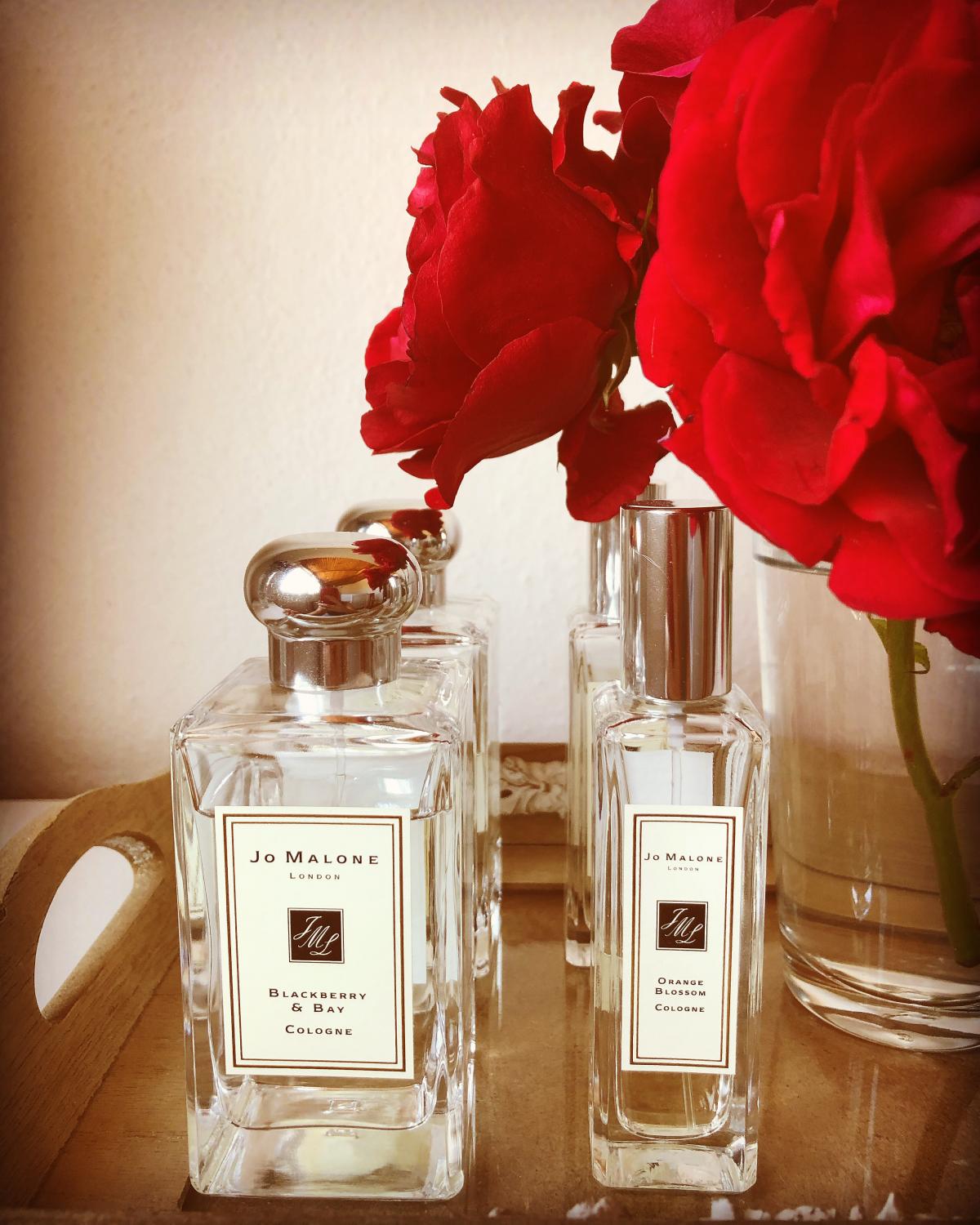 Blackberry & Bay Jo Malone London perfume - a fragrance for women 2012