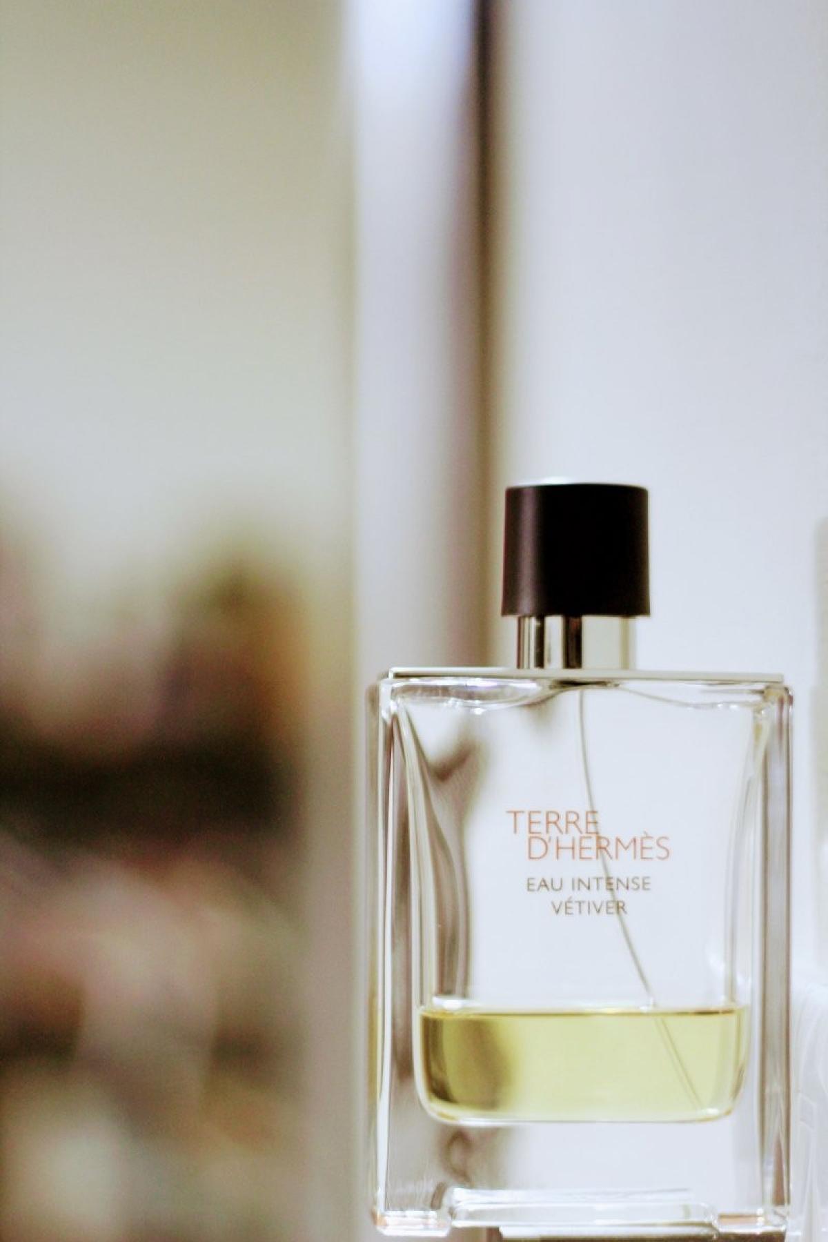Terre D