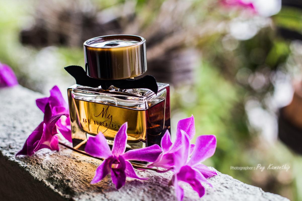 My Burberry Black Burberry perfume - a fragrance for women 2016