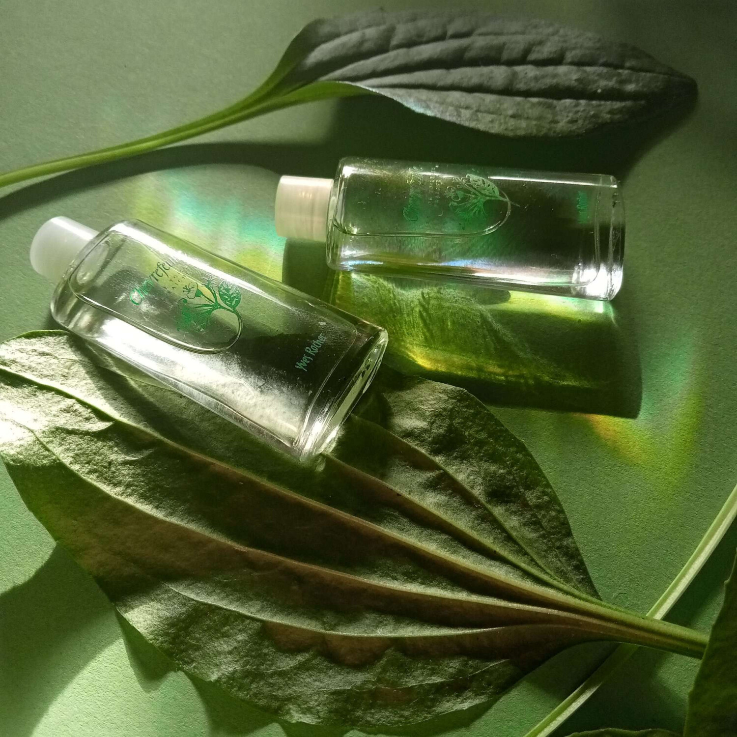 Eau De Toilette Chèvrefeuille Yves Rocher 125 Ml - Neuf, Parfum Frais Et Floral