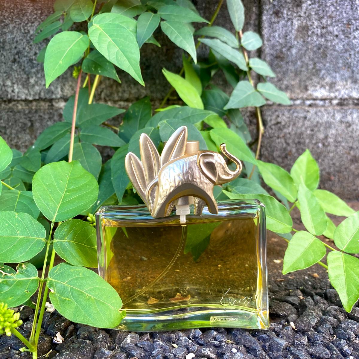 Kenzo Jungle L'Elephant Kenzo perfume a fragrance for women 1996