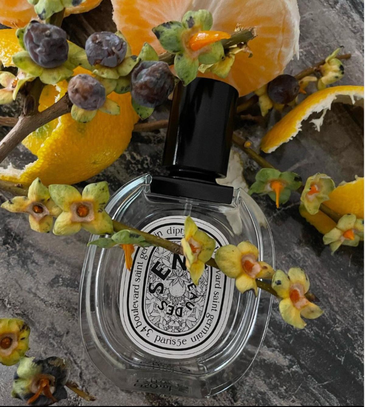 Eau des Sens Eau de Toilette Diptyque perfume - a fragrance for women ...