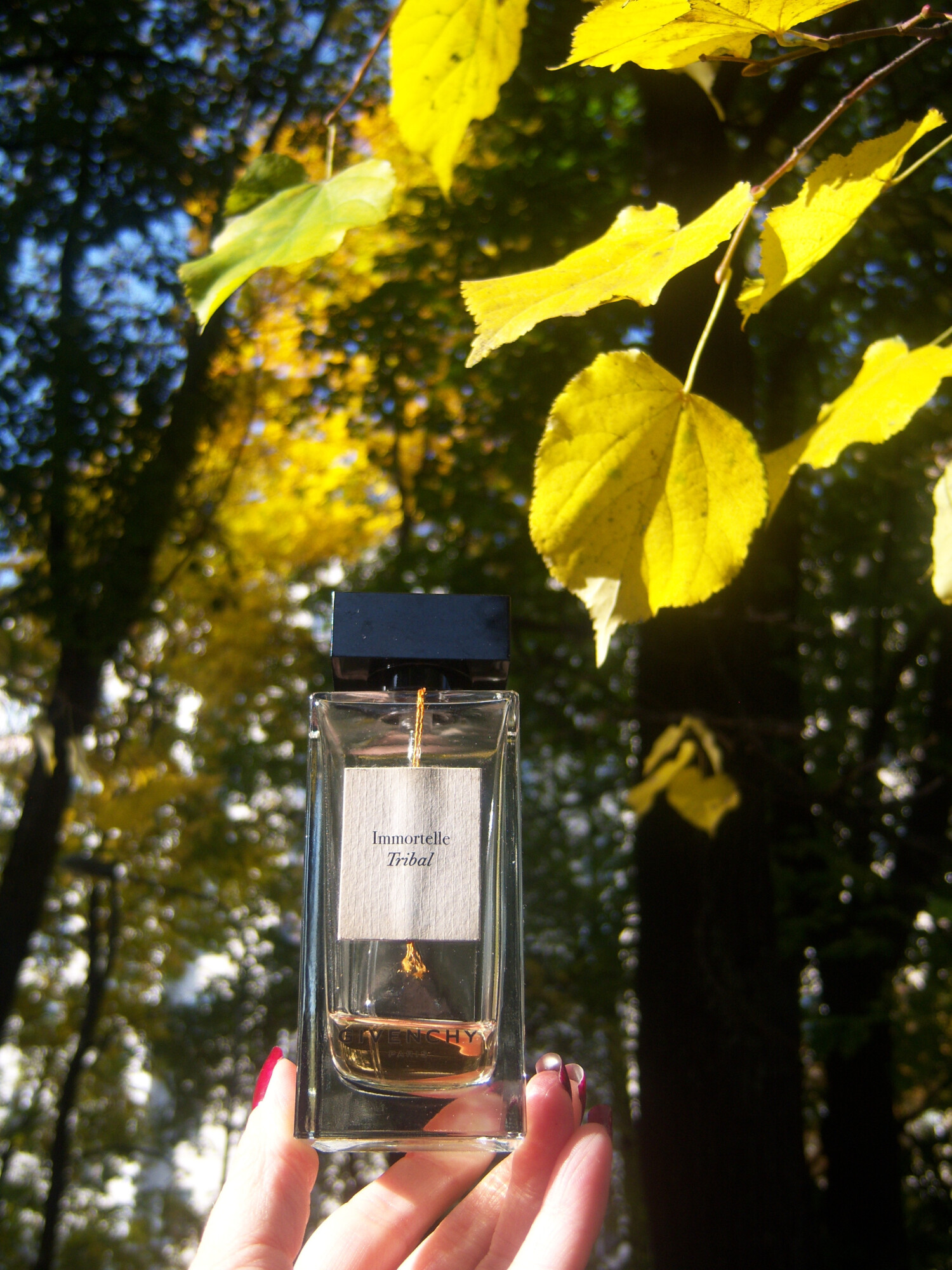 Immortelle Tribal Givenchy perfume - a fragrance for women and men 2015