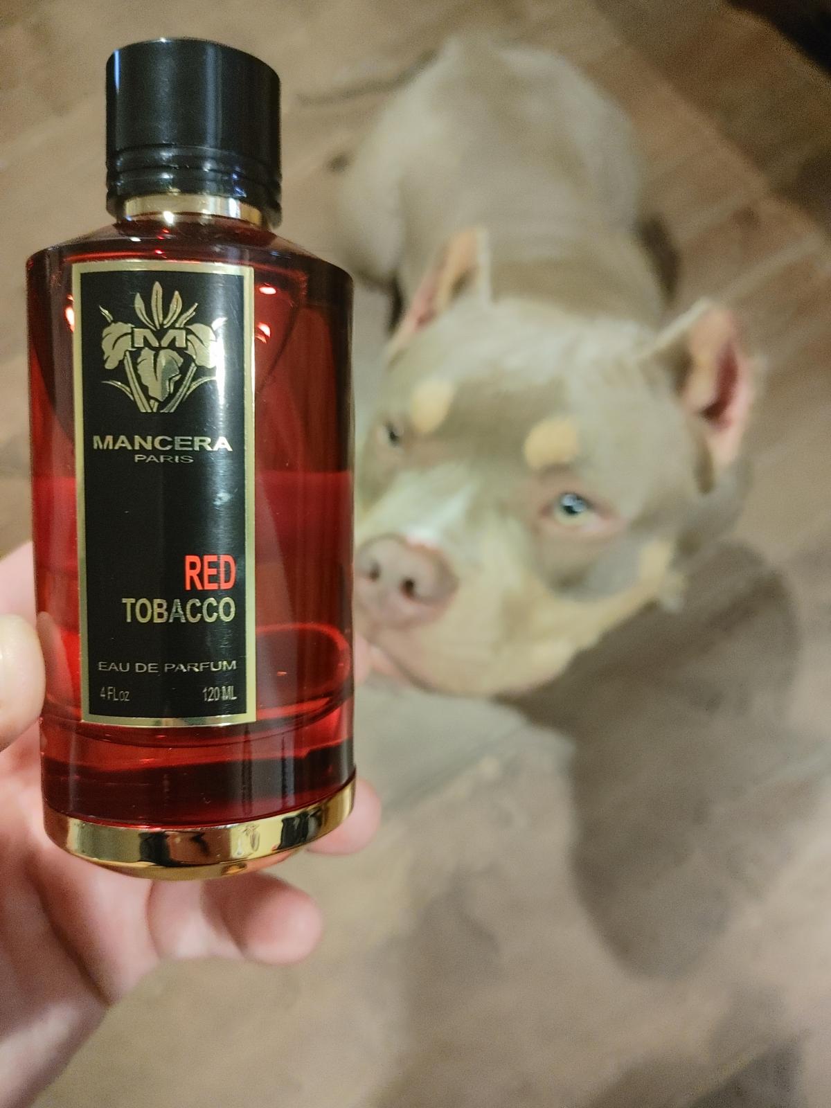 Red Tobacco Mancera аромат - аромат для жінок та чоловіків 2017