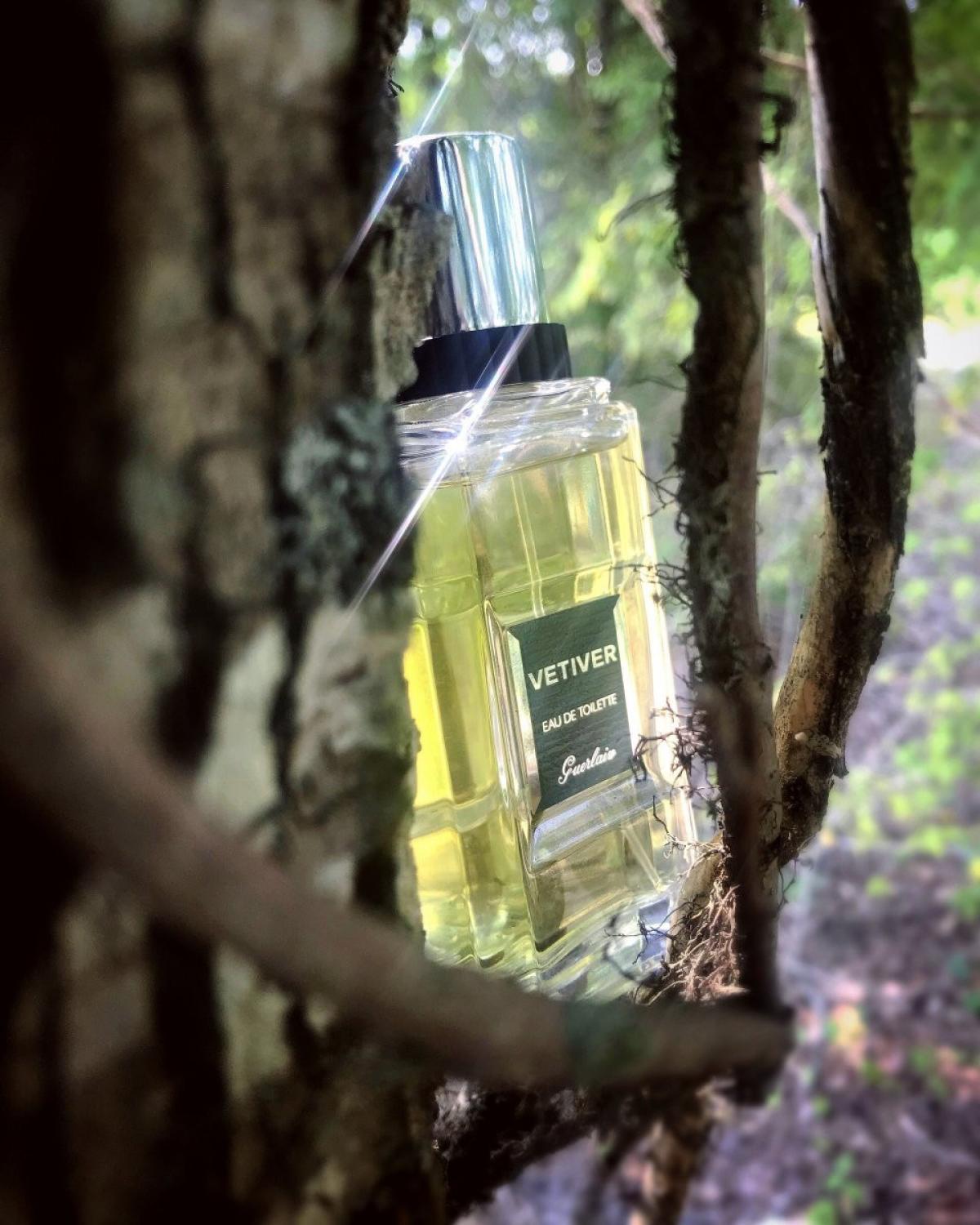 Vetiver Guerlain Cologne un parfum pour homme 2000