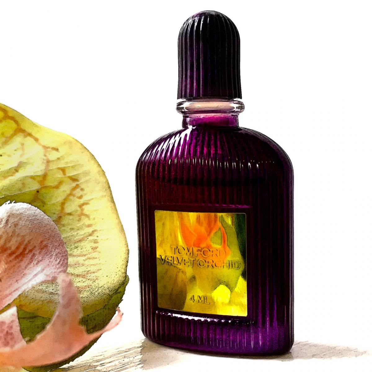 Velvet Orchid Tom Ford perfume - a fragrance for women 2014