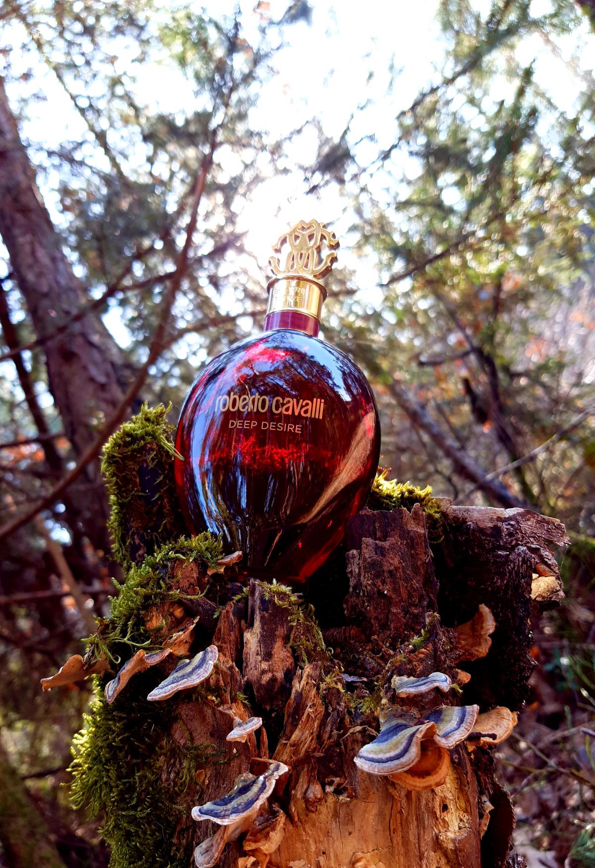 Roberto Cavalli Deep Desire Roberto Cavalli Fragancia Una Nuevo 