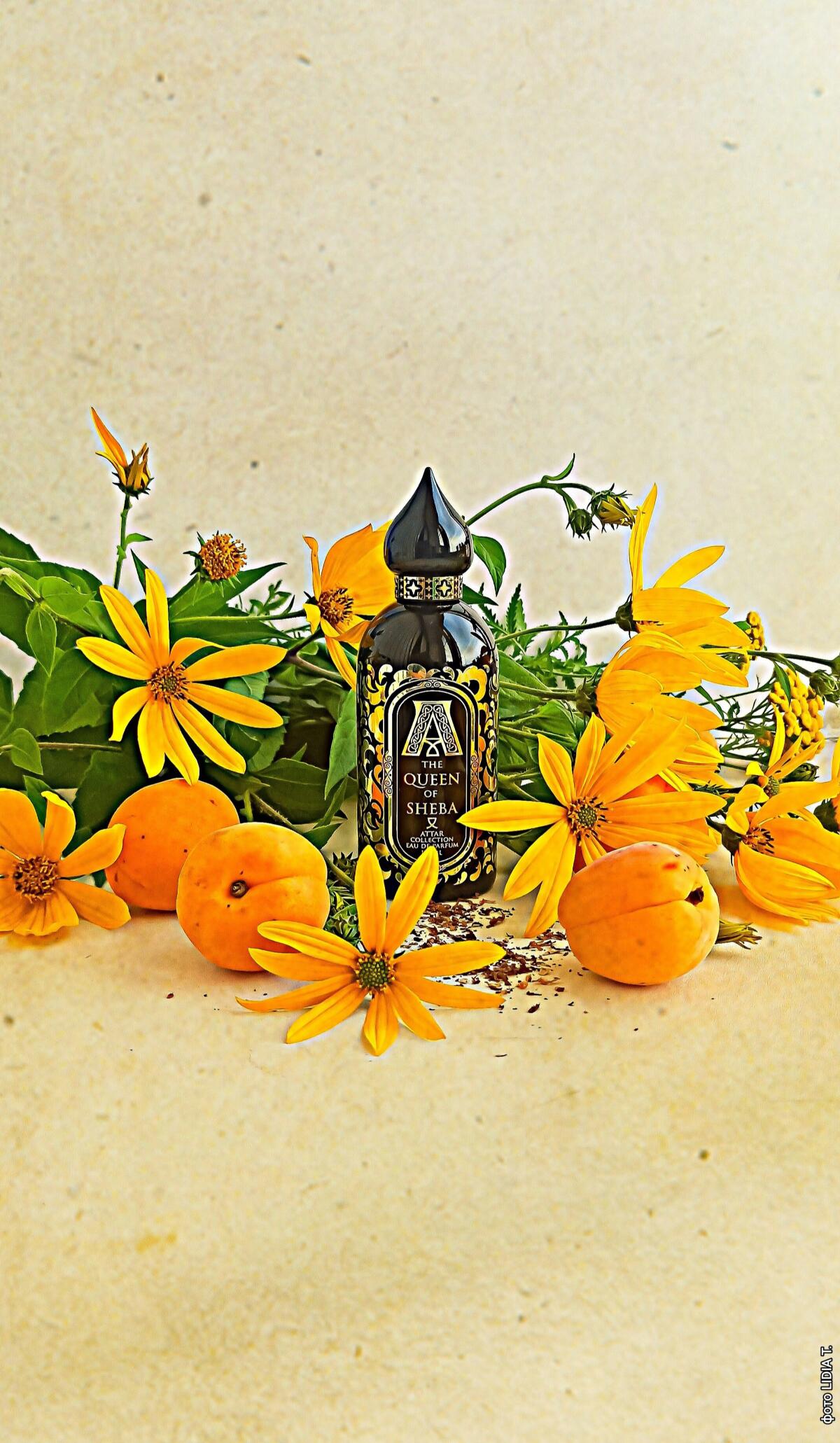 The Queen of Sheba Attar Collection perfume - a fragrance for women 2015
