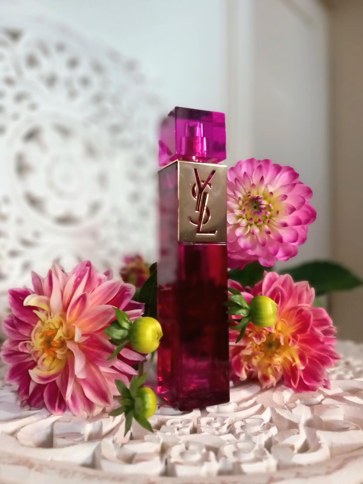 Elle Yves Saint Laurent аромат — аромат для женщин 2007