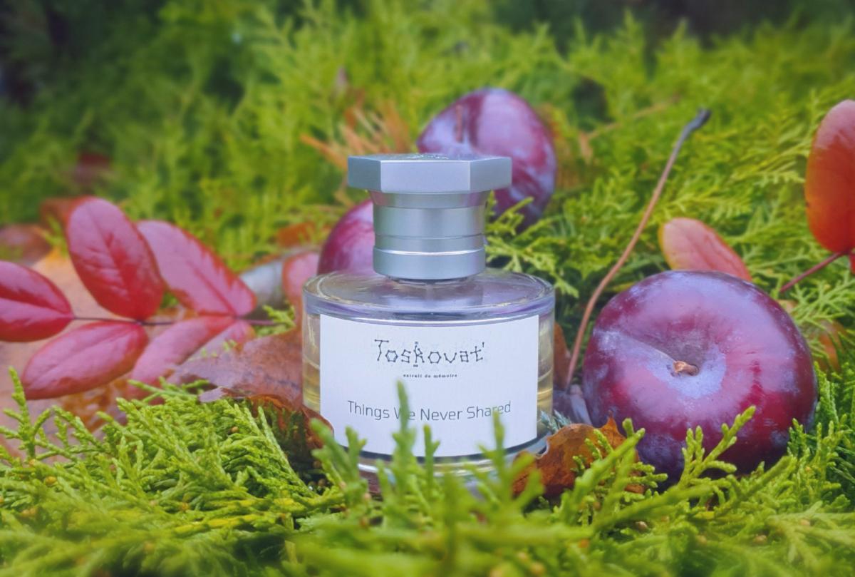 Things We Never Shared Toskovat' perfume - a new fragrance for women ...