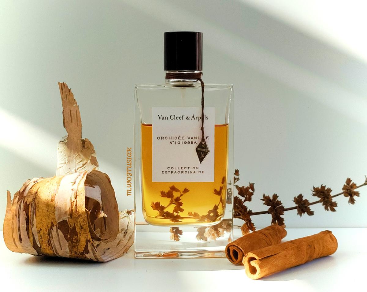 Orchidee Vanille Van Cleef & Arpels perfume - a fragrance for women 2009