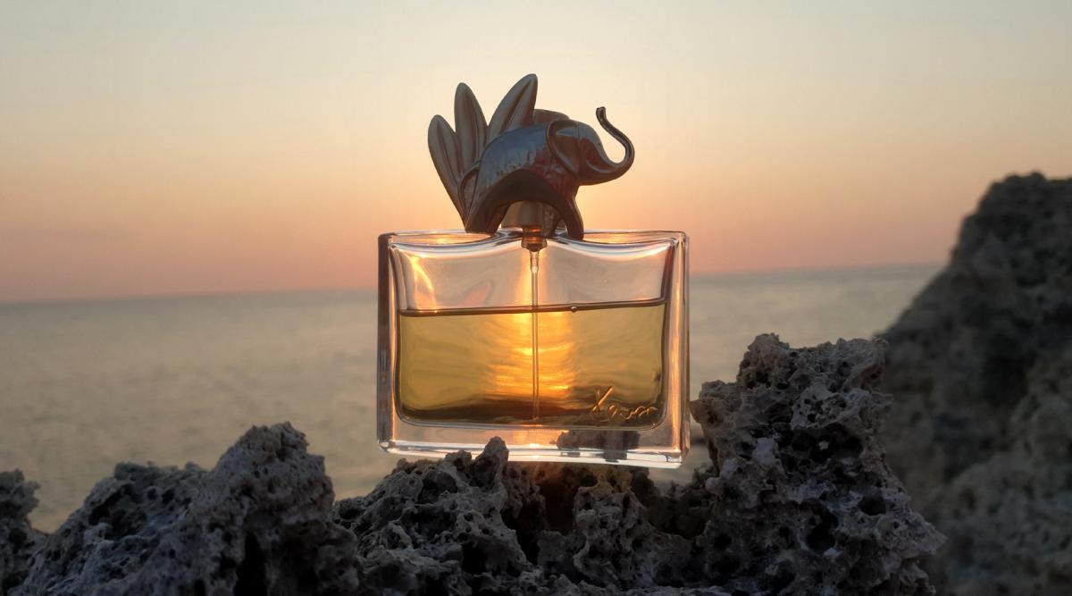 Kenzo Jungle L'Elephant Kenzo perfume a fragrance for women 1996