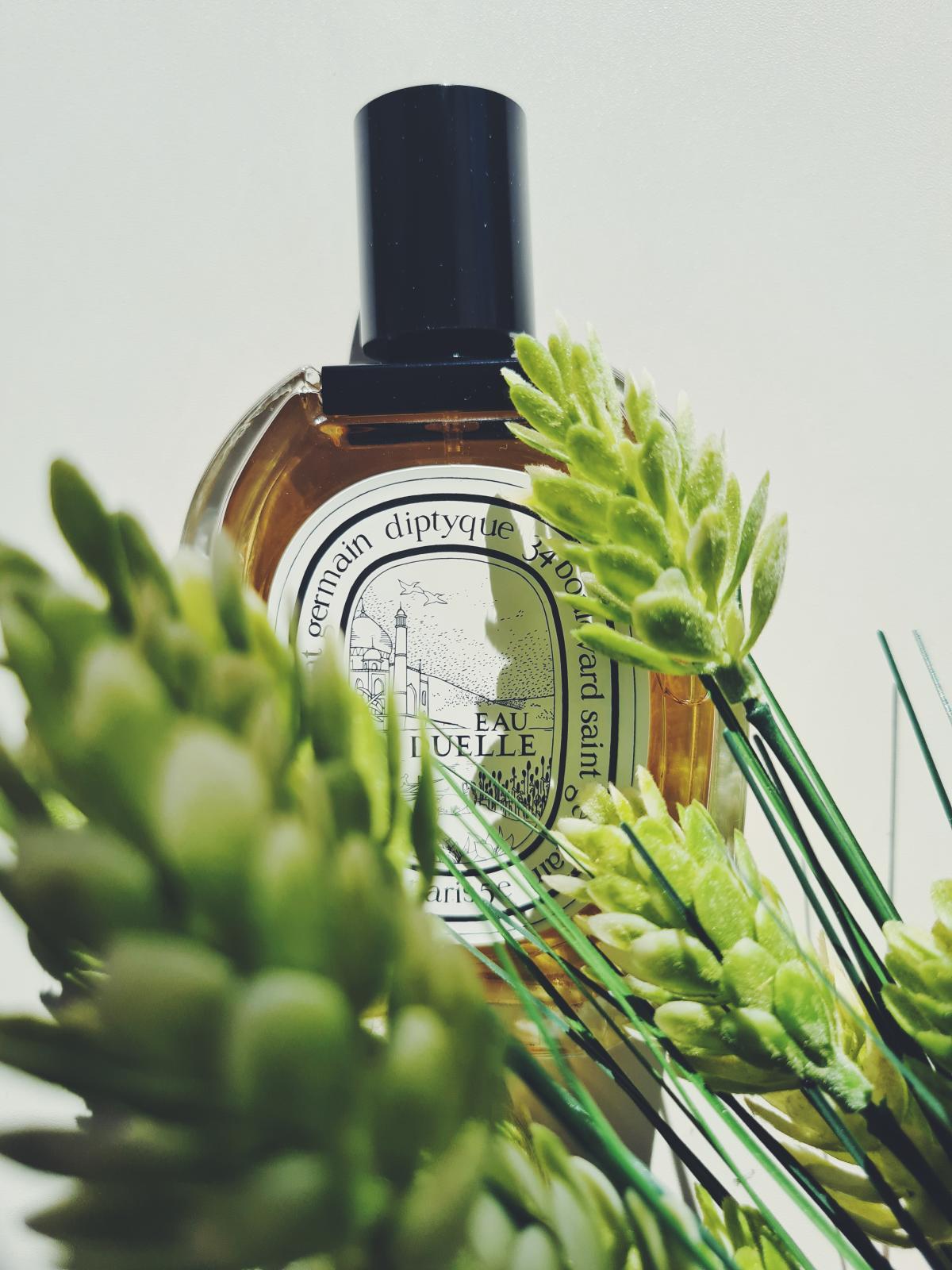 Eau Duelle Eau de Toilette Diptyque perfume - a fragrance for women and ...