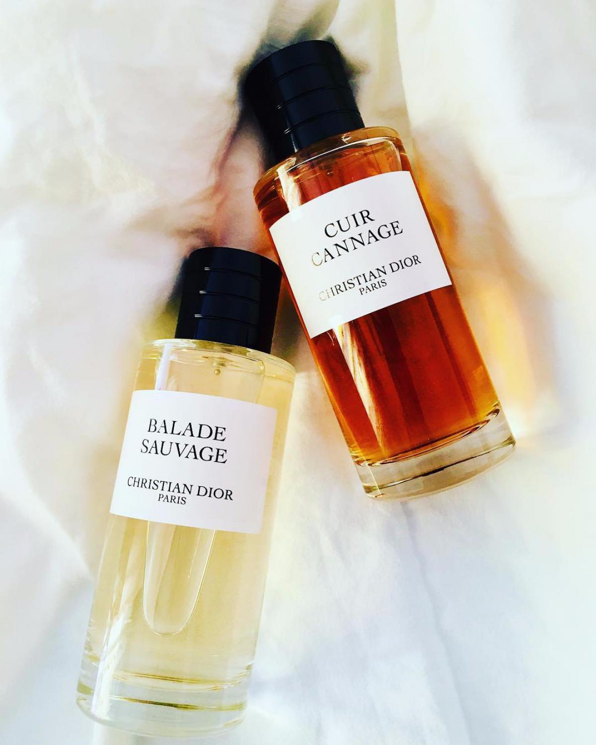 Balade Sauvage Dior 香水 - 一款 2018年 中性 香水