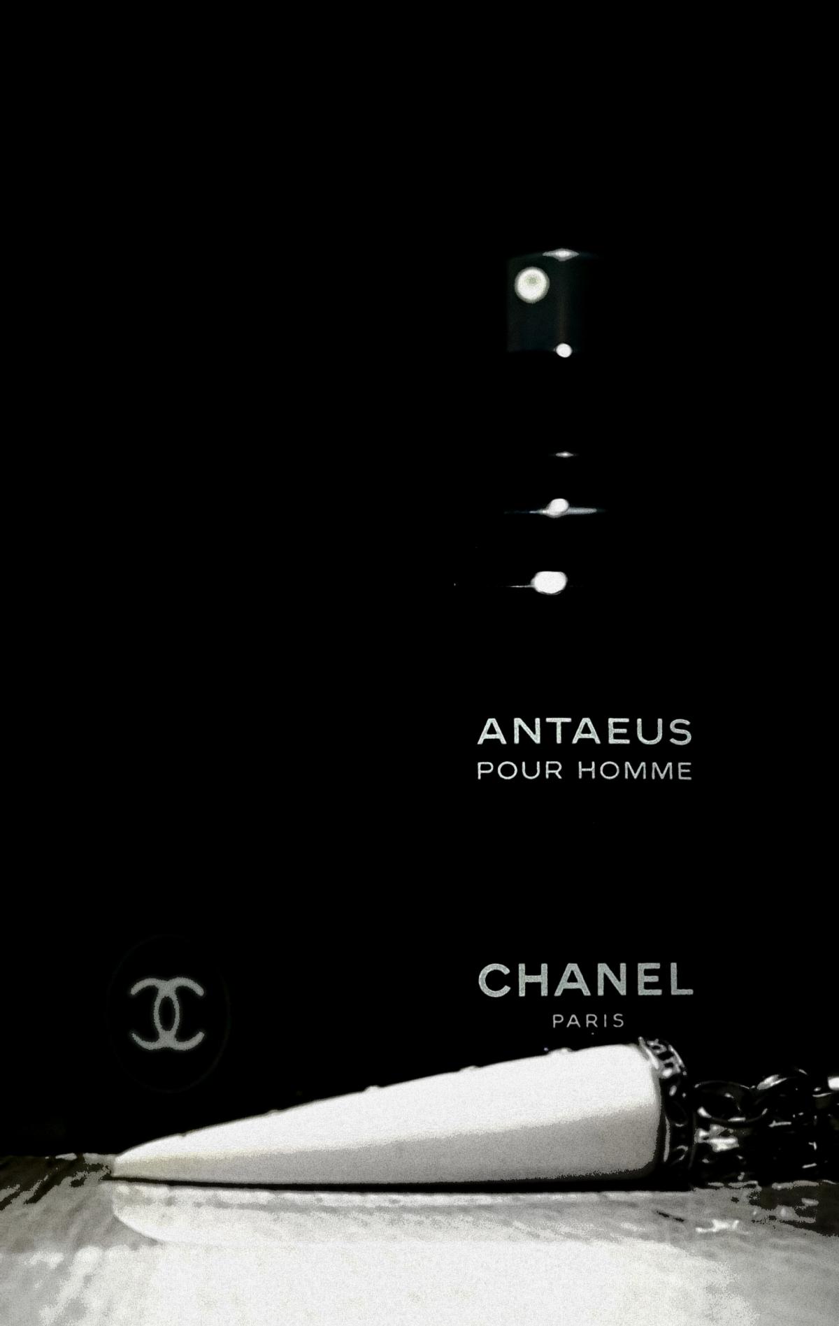 Antaeus Chanel cologne a fragrance for men 1981