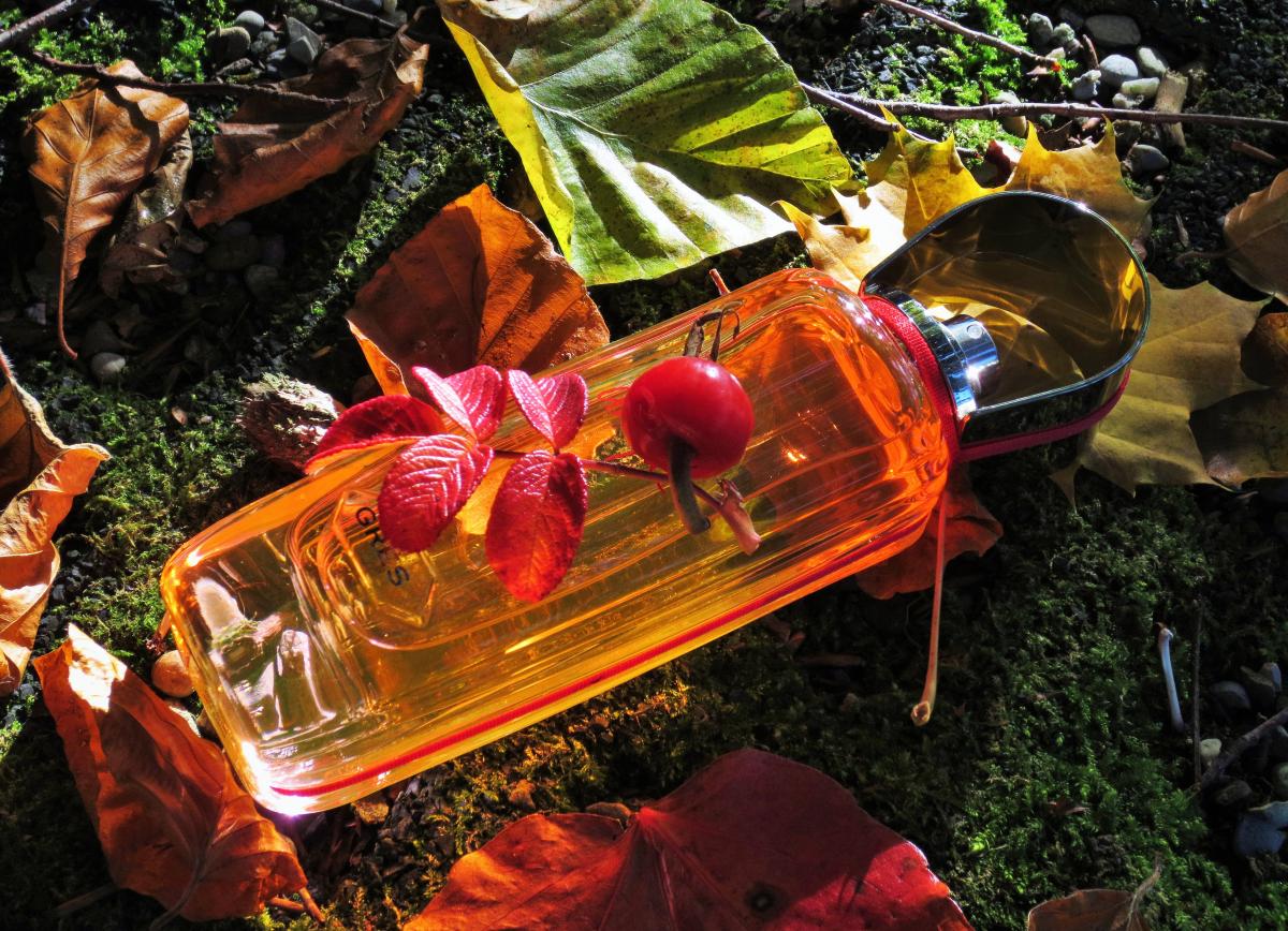 Pièce Unique Grès perfume - a fragrance for women and men 2015