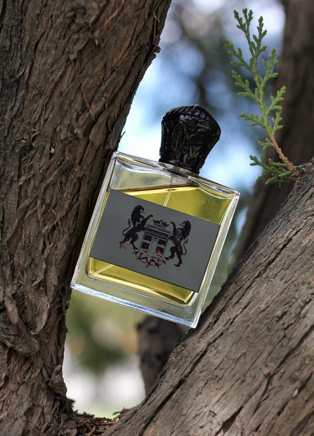 Evasion Digo de Havane L'Arc perfume - a fragrance for women and men 2013