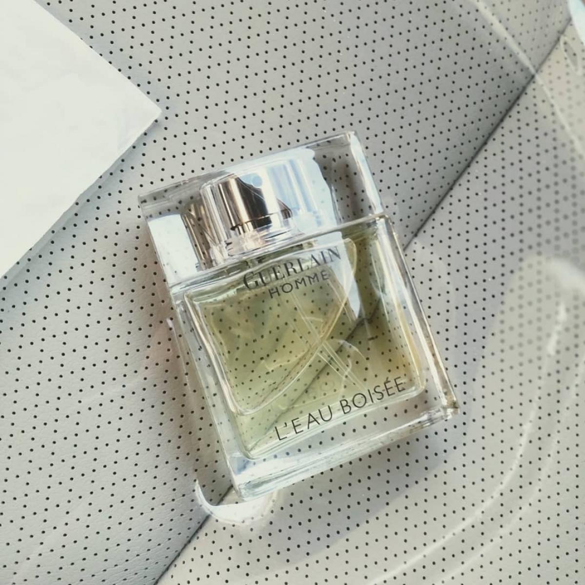 gucci premiere edp