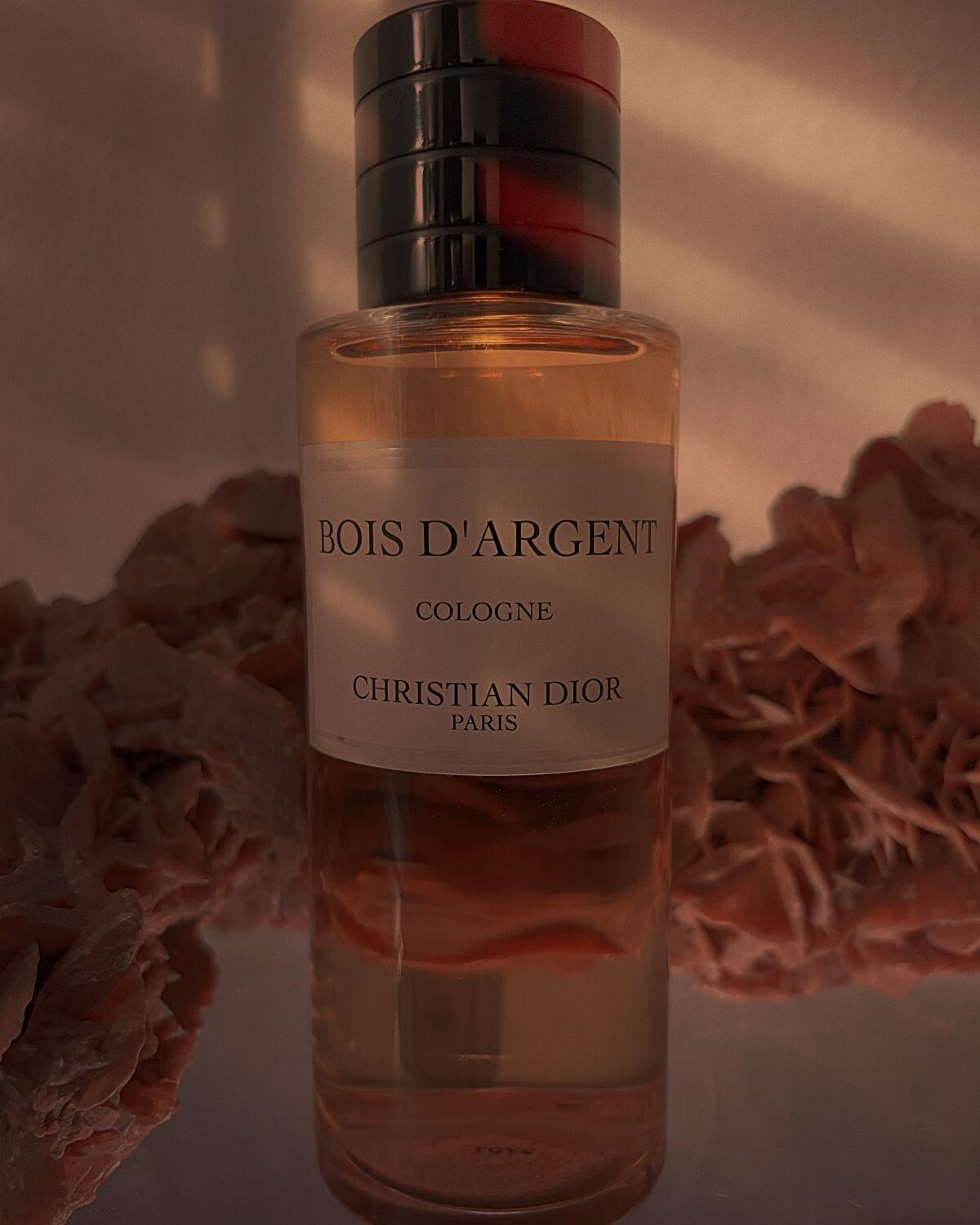 Bois d'Argent Dior perfume - a fragrance for women and men 2004
