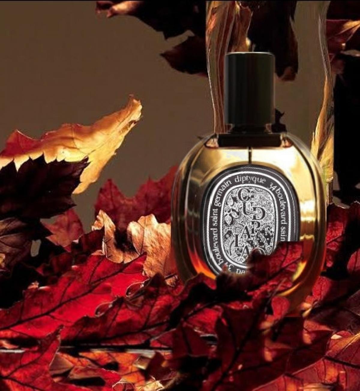 Oud Palao Diptyque perfume a fragrance for women and men 2015