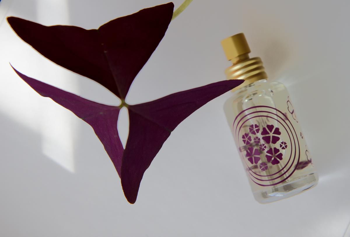 French Lilac Pacifica perfume a fragrance for women