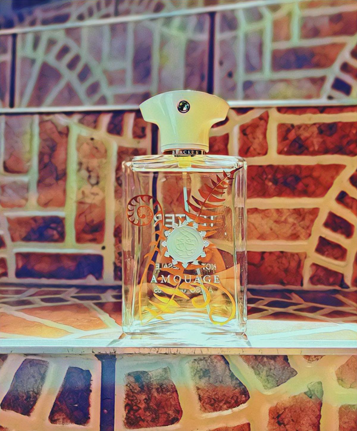 Bracken Man Amouage Colonia - una fragancia para Hombres 2016