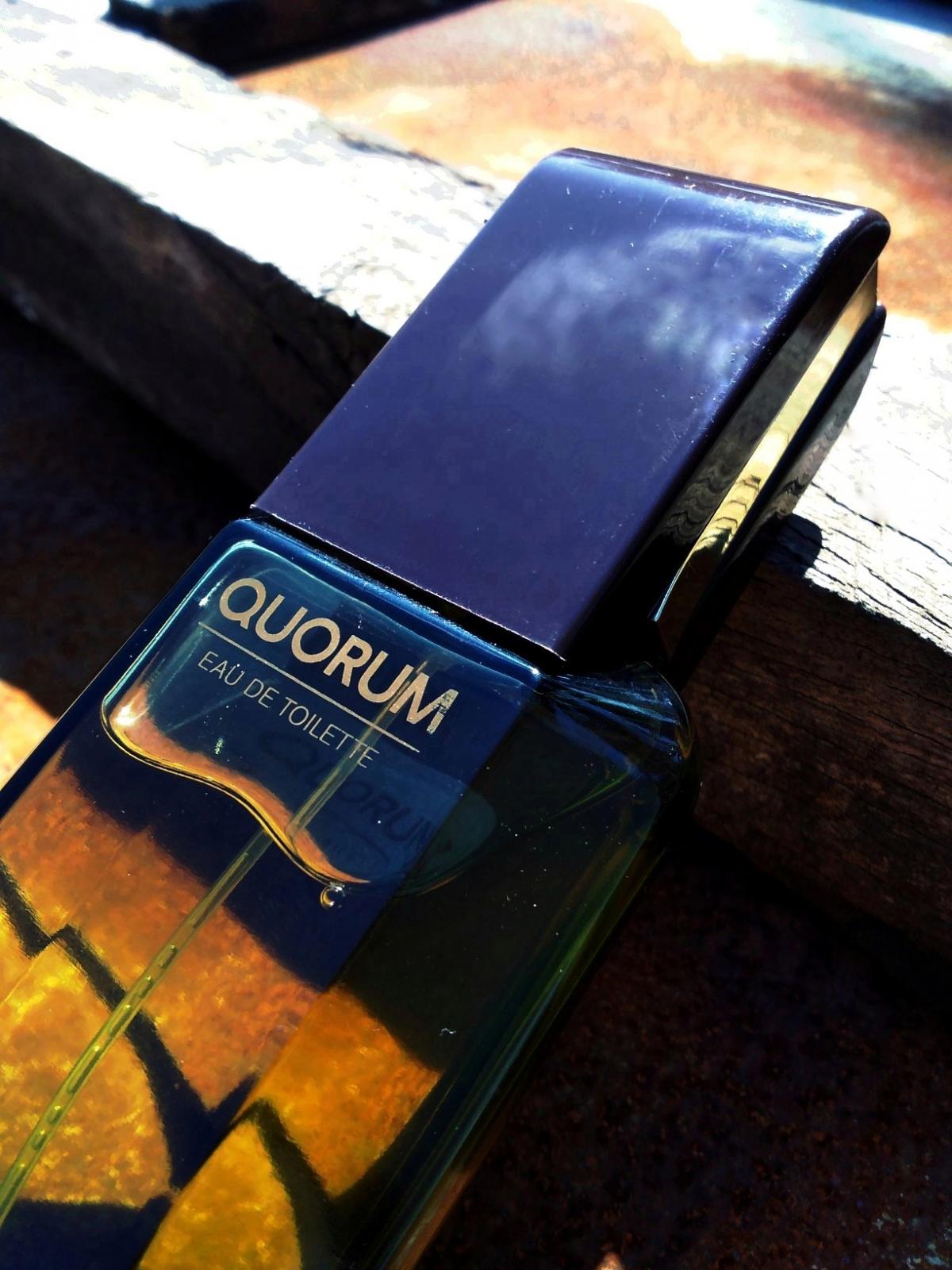 Quorum Antonio Puig cologne a fragrance for men 1981